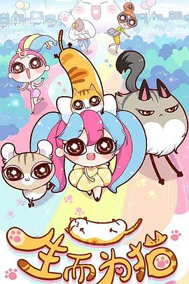 巴音郭楞网站优化推广